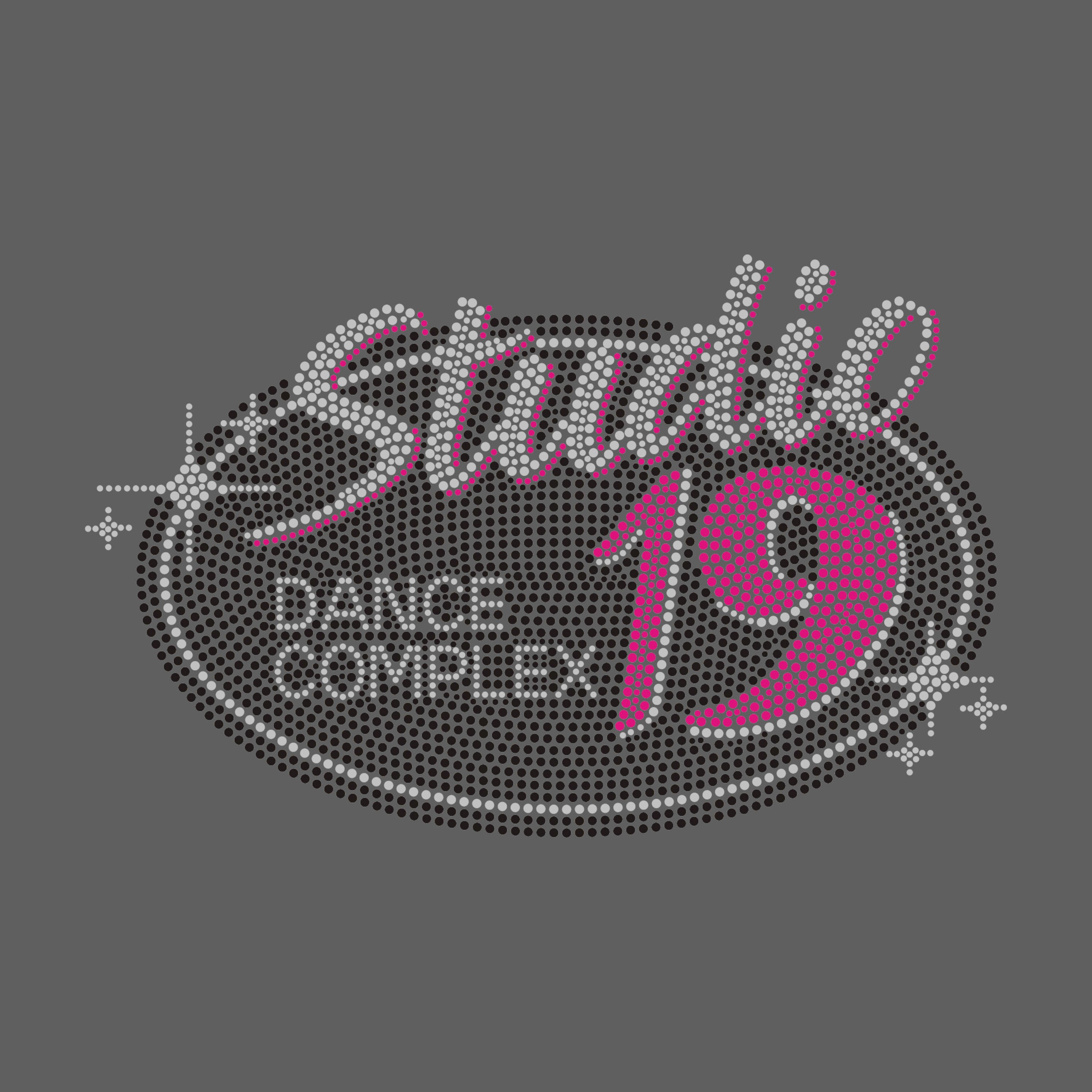 Studio 19 Sign with Sparkles Bling