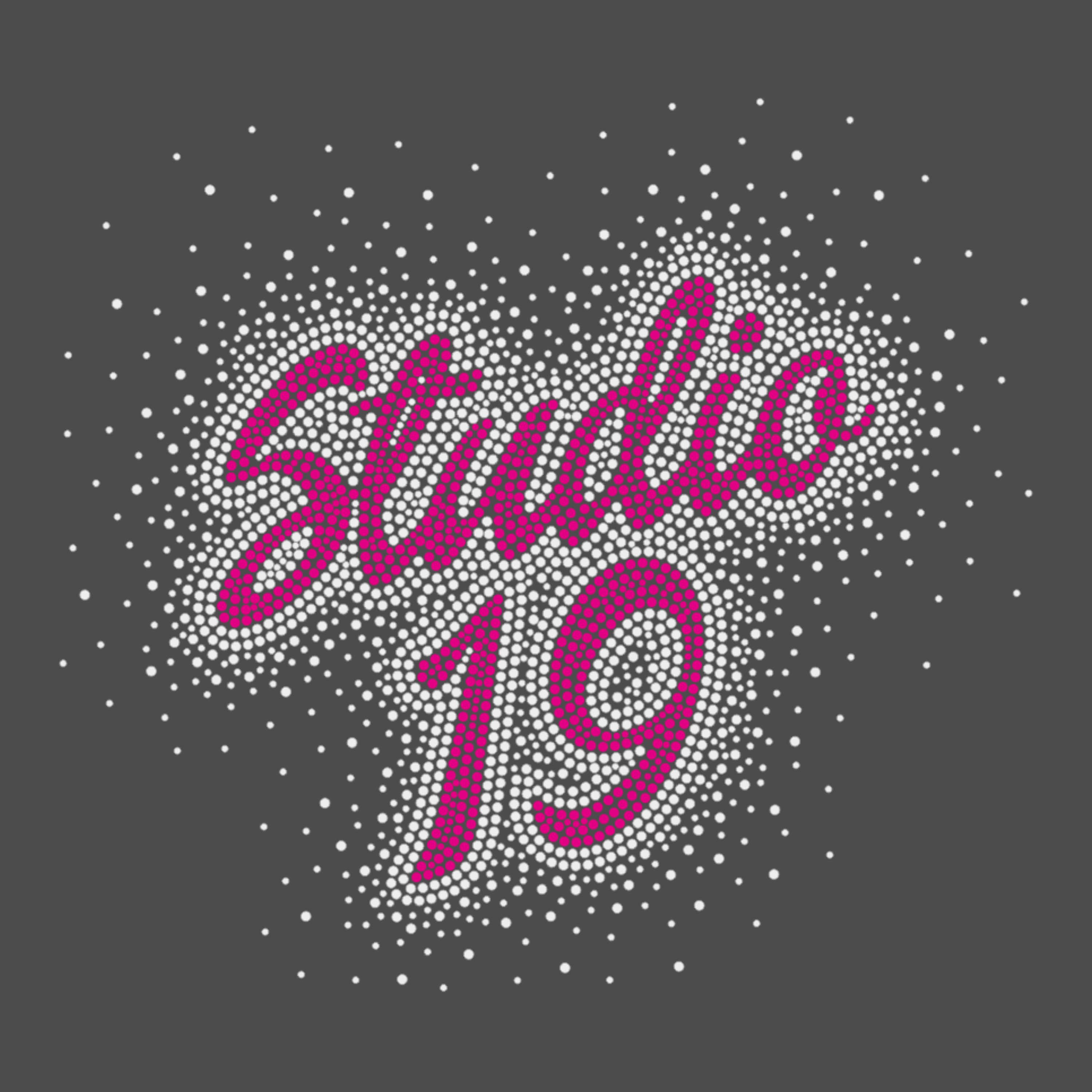 Studio 19 Black Glitter Garment Bag