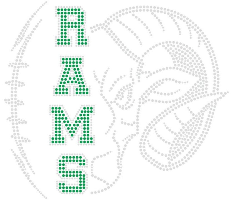 Pine Richland Crystal and Green Rams Football Bling Design